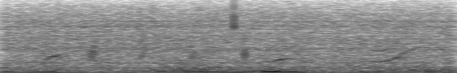 [Loading Spectrogram]