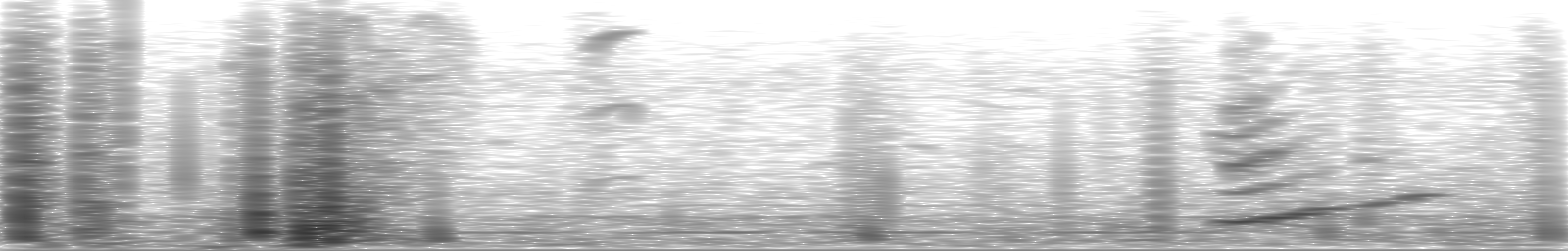 [Loading Spectrogram]