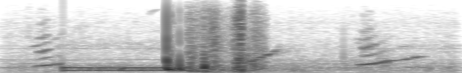 [Loading Spectrogram]