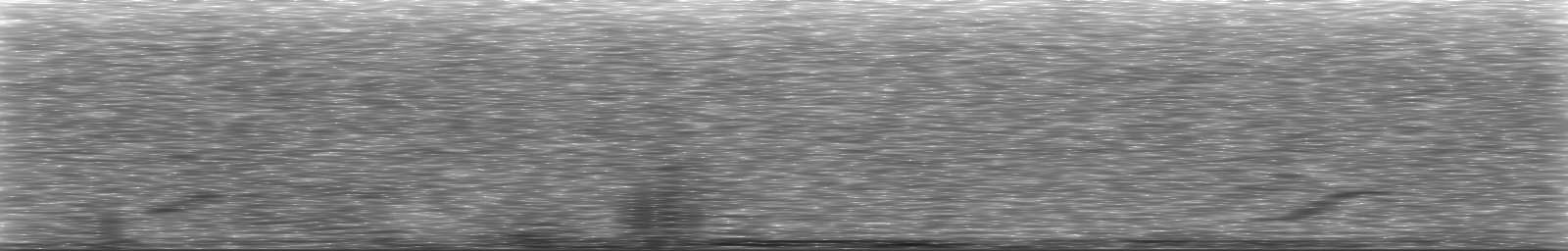 [Loading Spectrogram]