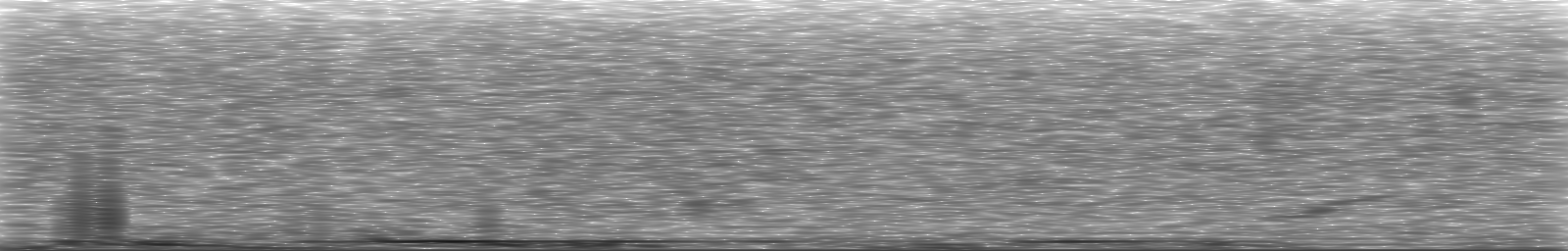 [Loading Spectrogram]