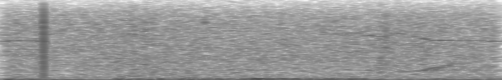 [Loading Spectrogram]