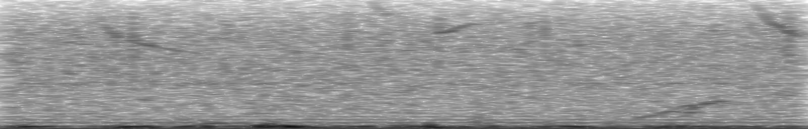 [Loading Spectrogram]