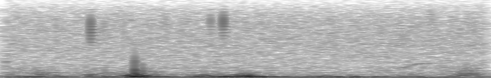 [Loading Spectrogram]