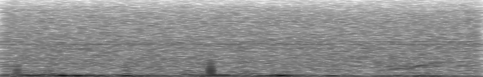 [Loading Spectrogram]