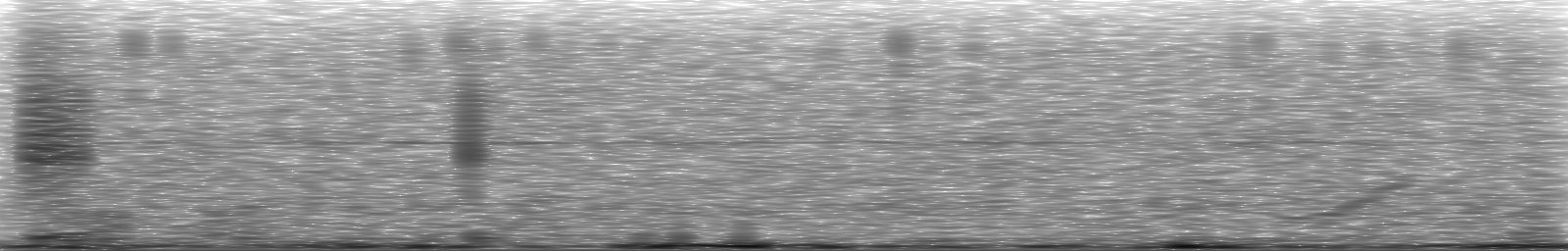 [Loading Spectrogram]