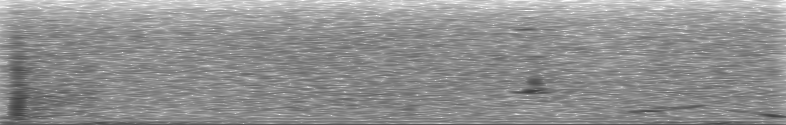 [Loading Spectrogram]