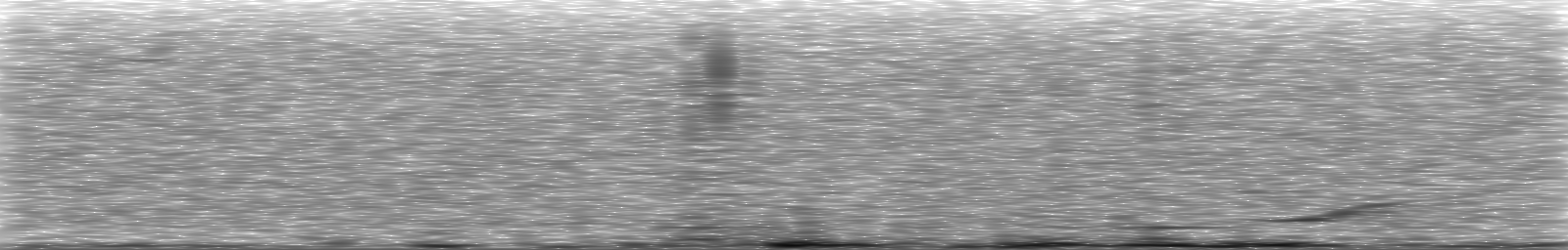 [Loading Spectrogram]