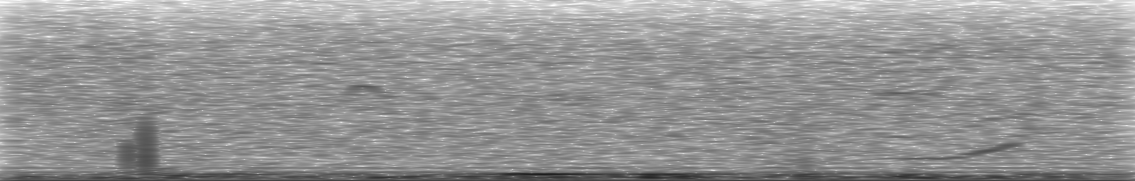 [Loading Spectrogram]