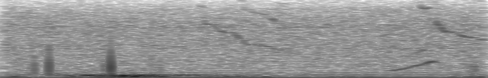 [Loading Spectrogram]