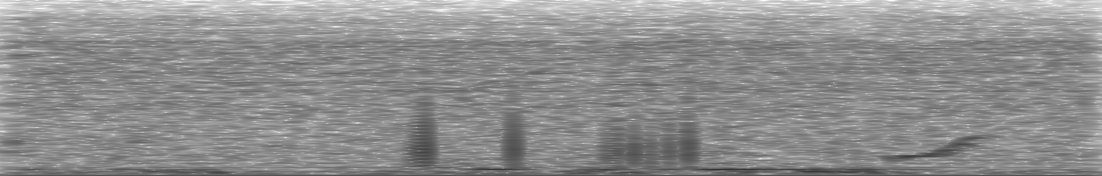 [Loading Spectrogram]