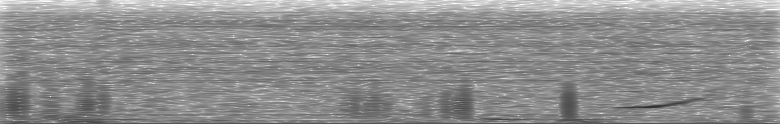 [Loading Spectrogram]