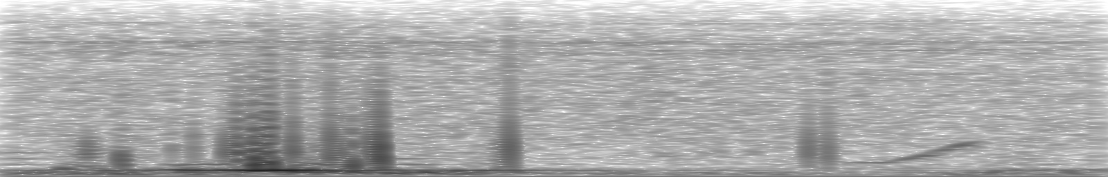 [Loading Spectrogram]