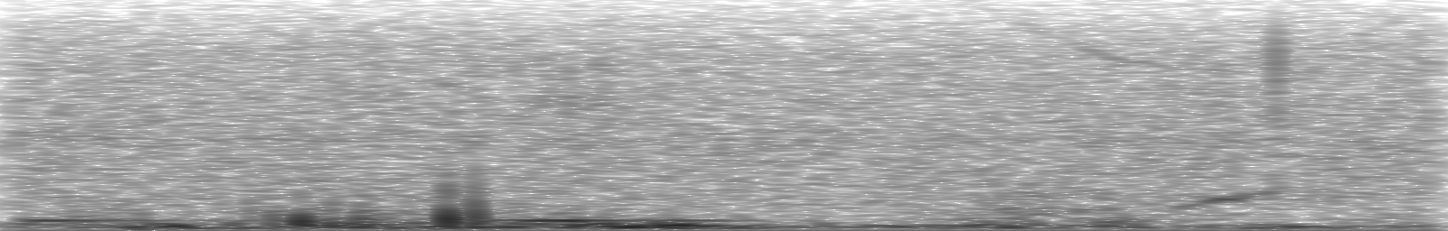 [Loading Spectrogram]