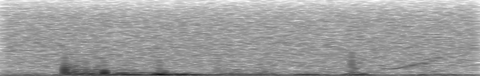 [Loading Spectrogram]