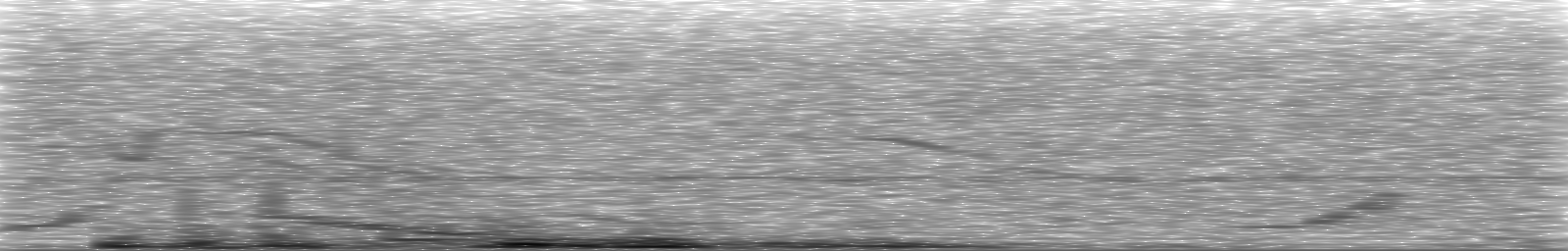 [Loading Spectrogram]