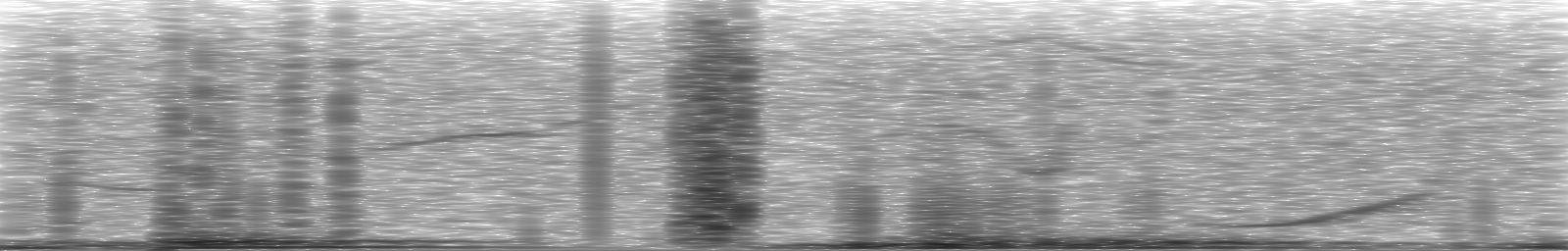 [Loading Spectrogram]