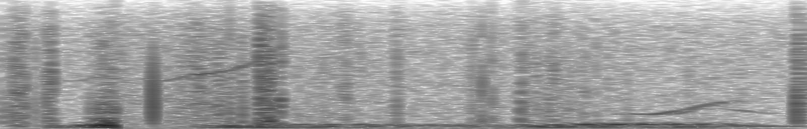 [Loading Spectrogram]