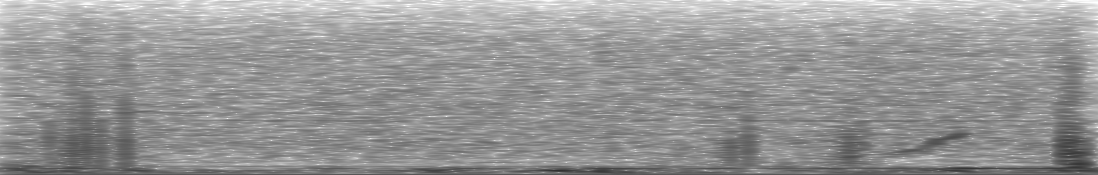 [Loading Spectrogram]