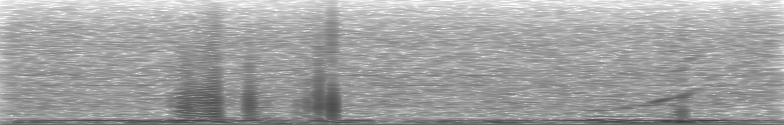 [Loading Spectrogram]