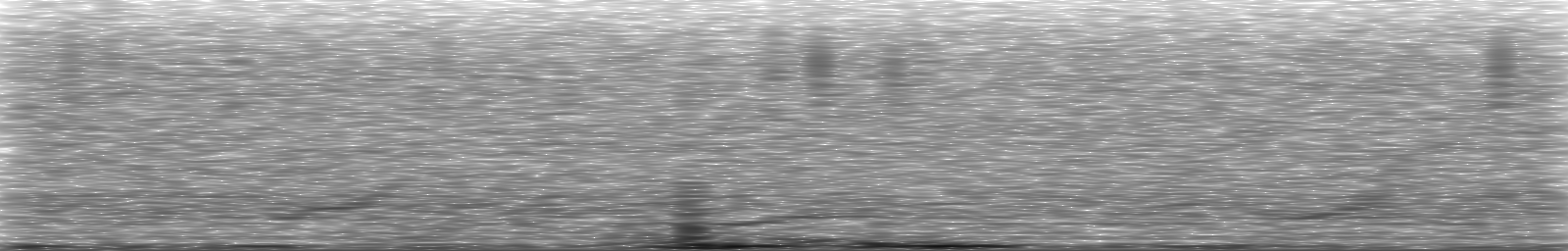 [Loading Spectrogram]