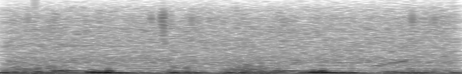 [Loading Spectrogram]