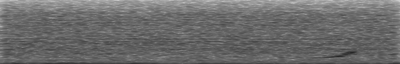 [Loading Spectrogram]