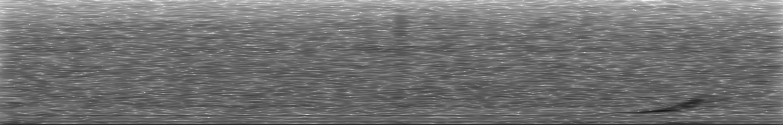 [Loading Spectrogram]