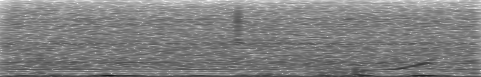 [Loading Spectrogram]