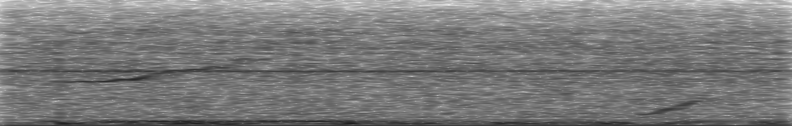 [Loading Spectrogram]