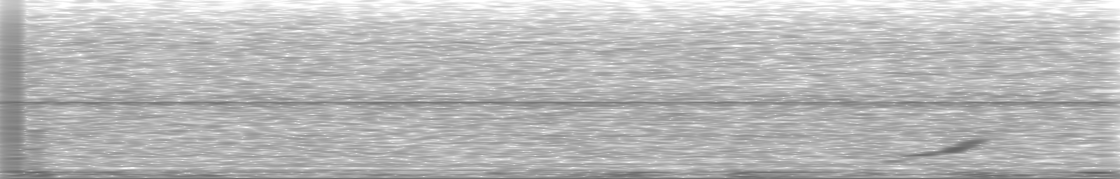 [Loading Spectrogram]