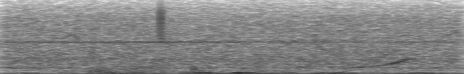 [Loading Spectrogram]