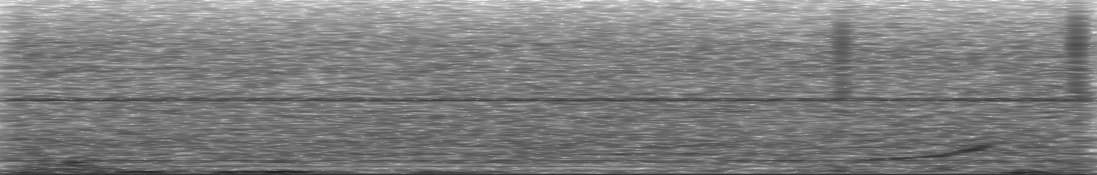 [Loading Spectrogram]