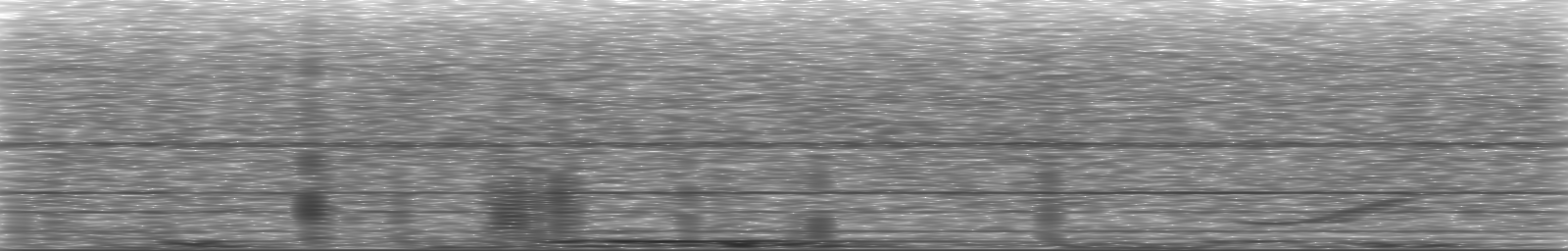 [Loading Spectrogram]