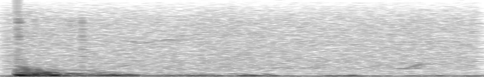 [Loading Spectrogram]