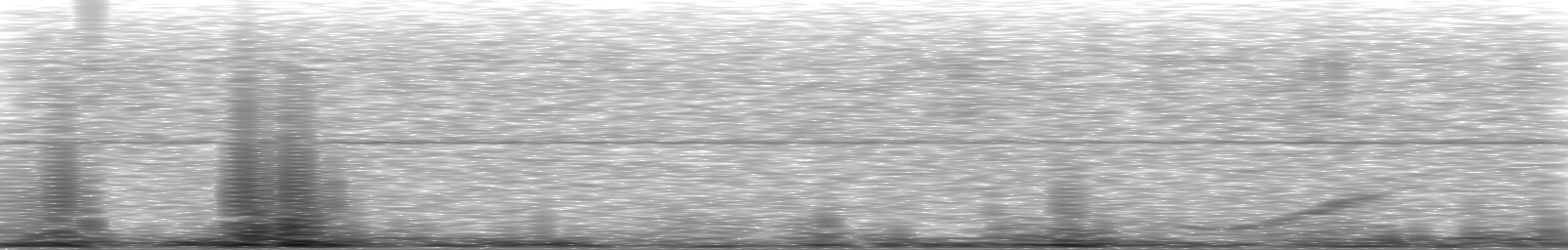 [Loading Spectrogram]