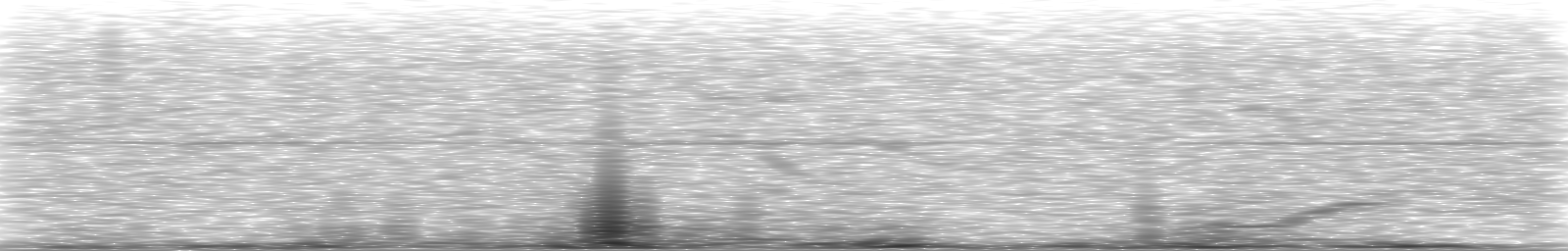 [Loading Spectrogram]