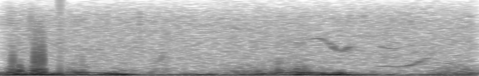 [Loading Spectrogram]