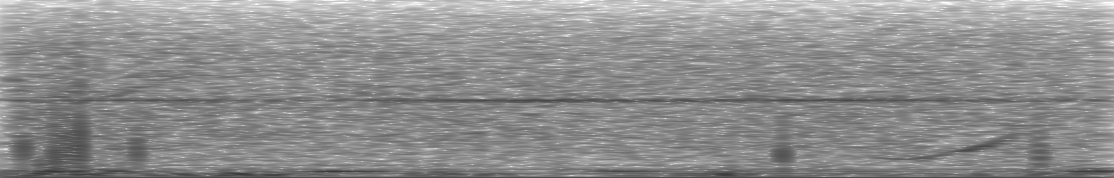 [Loading Spectrogram]