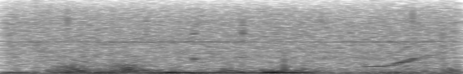 [Loading Spectrogram]