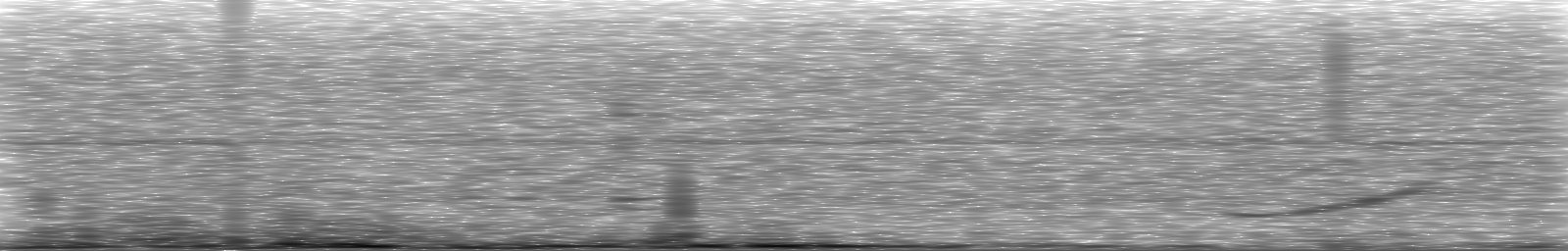 [Loading Spectrogram]