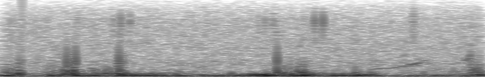 [Loading Spectrogram]