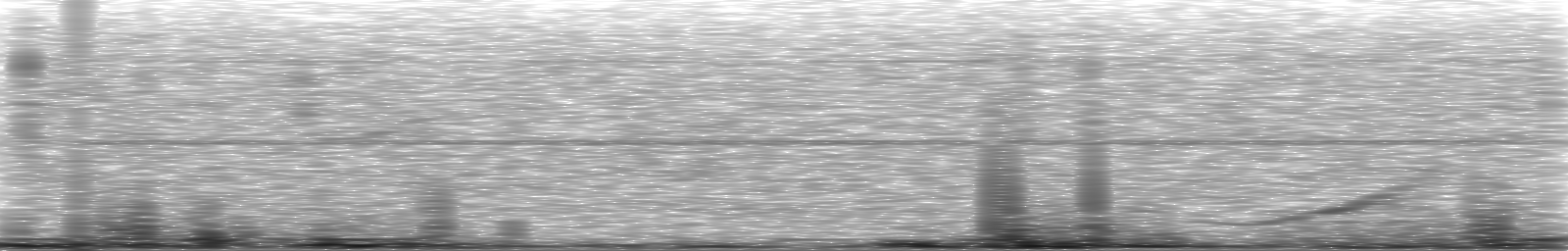 [Loading Spectrogram]