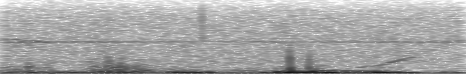 [Loading Spectrogram]