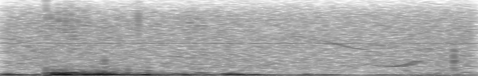 [Loading Spectrogram]