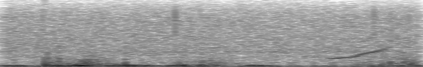 [Loading Spectrogram]