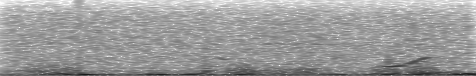 [Loading Spectrogram]