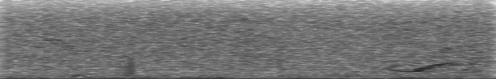 [Loading Spectrogram]