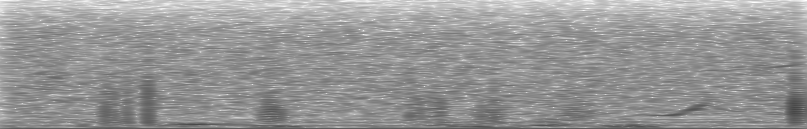 [Loading Spectrogram]