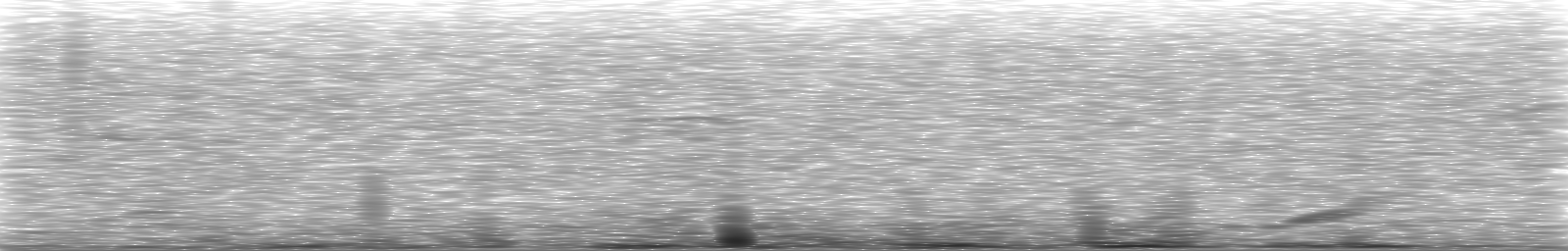 [Loading Spectrogram]